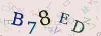 Visual Confirmation Security Code