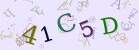 Visual Confirmation Security Code