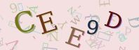 Visual Confirmation Security Code