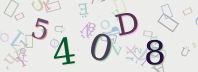 Visual Confirmation Security Code