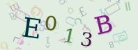 Visual Confirmation Security Code